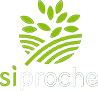 SIPROCHE